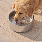 Shelter Bowl